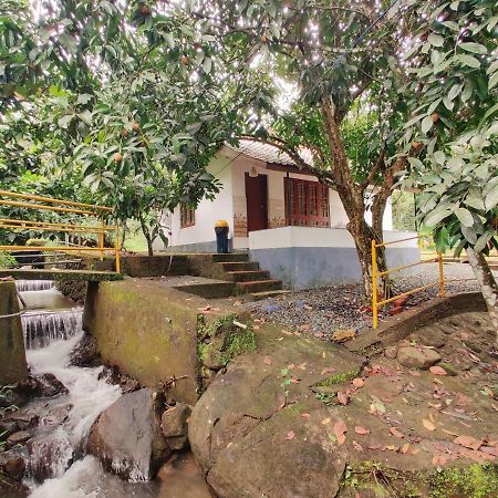 Nutmeg Valley Idukki Exteriör bild