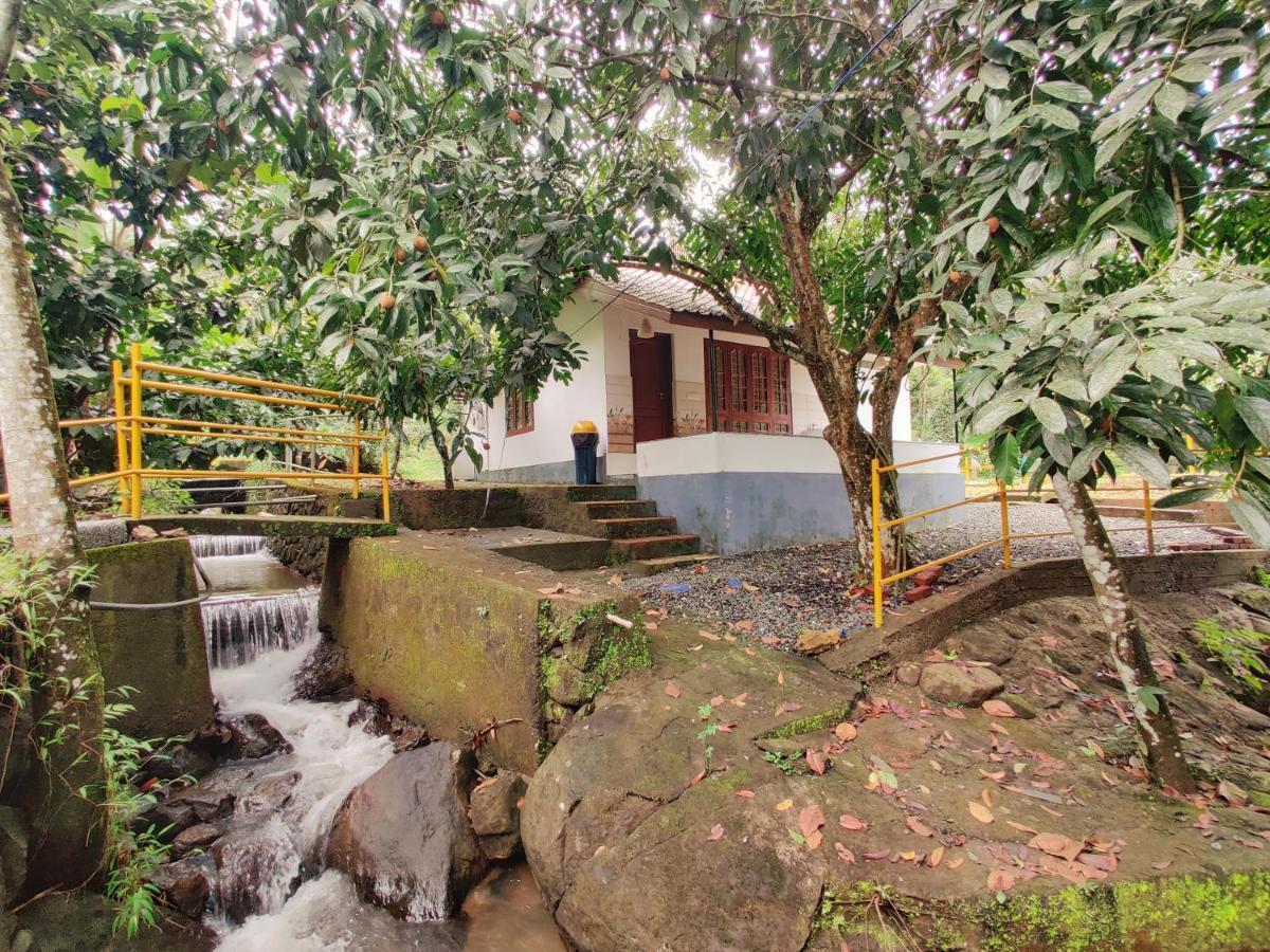 Nutmeg Valley Idukki Exteriör bild